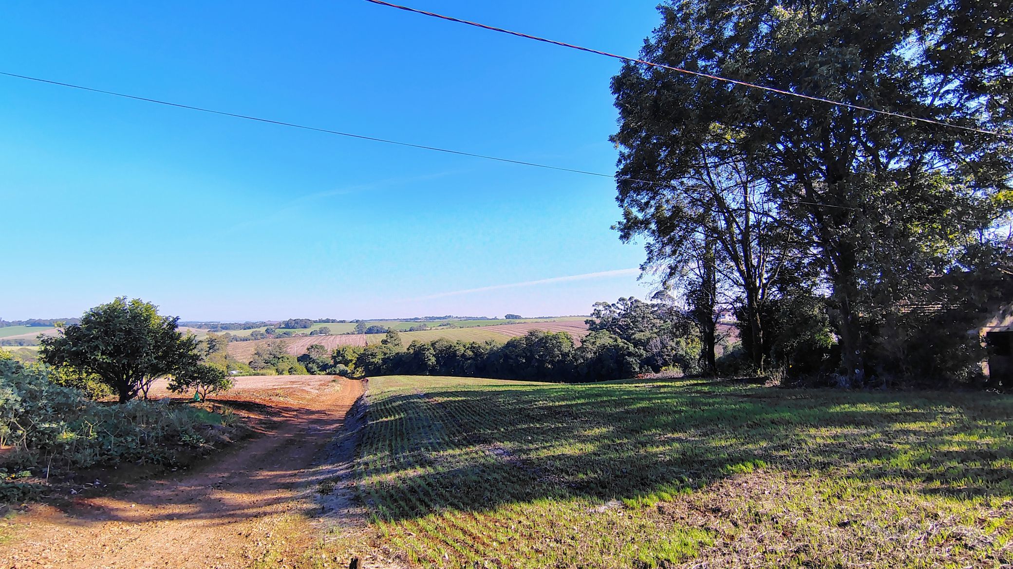 Área de terras à venda em São Martinho/RS