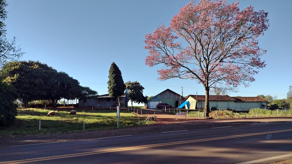 Chácara com ponto comercial em São Martinho/RS